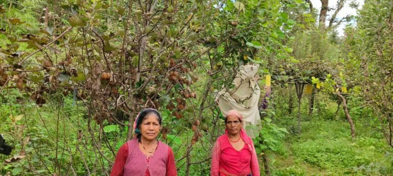 1790696865_357_कीवी-उत्पादन-से-स्वरोजगार-की-राह-पर-बढ़ीं-जखोली-की.jpeg