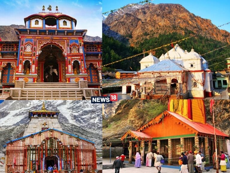 चारधामों-को-प्लास्टिक-मुक्त-बनाने-में-जुटी-धामी-सरकार.jpg