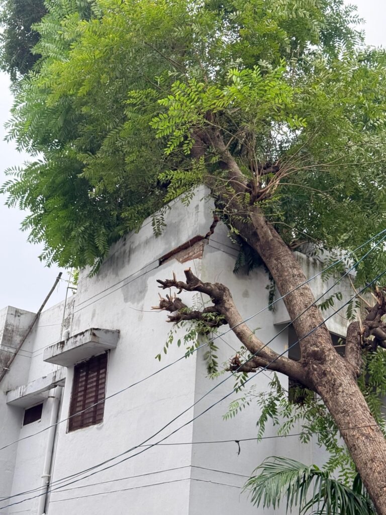 1791557924_852_आंधी-तूफान-एवं-ओलावृष्टि-से-हुए-नुकसान-का-आकलन-कर-प्रभावितों.jpg