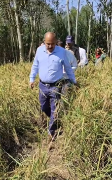 प्रधानमंत्री-फसल-बीमा-योजना-के-अंतर्गत-खरीफ-2026-27-में-धान.png